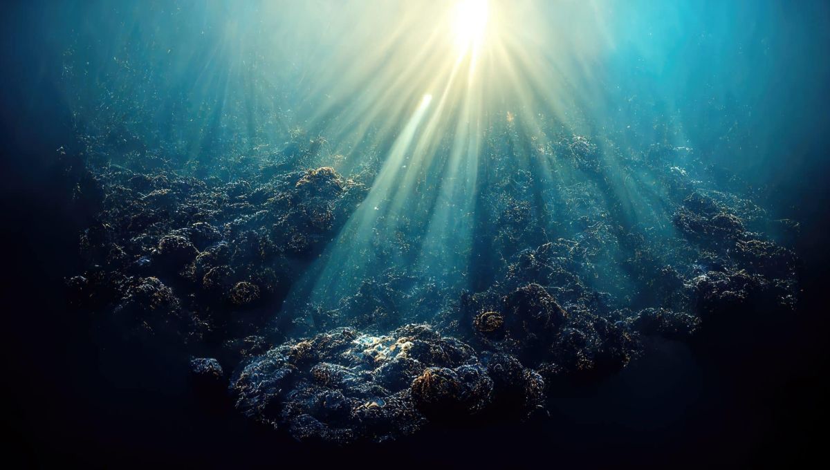 Il récupère la chaleur du soleil dans la mer