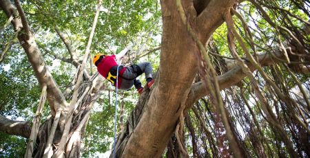 Nolwen Berthier, de l’escalade à la reconnexion à la nature