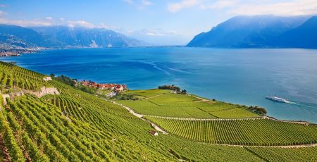 GENEVE Escapade en vélo et dégustations dans les vignobles genevois