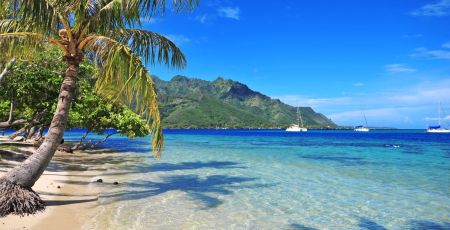 tahiti plage cocotier