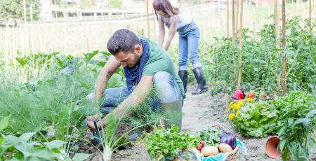 Couple dans son potager