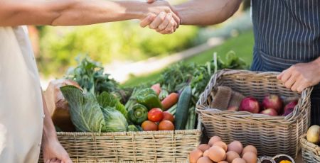 Deux hommes, dont on ne voit que les mains qui se serrent au-dessus d'un étal de légumes frais symbolisant une rencontre autour de la bio.
