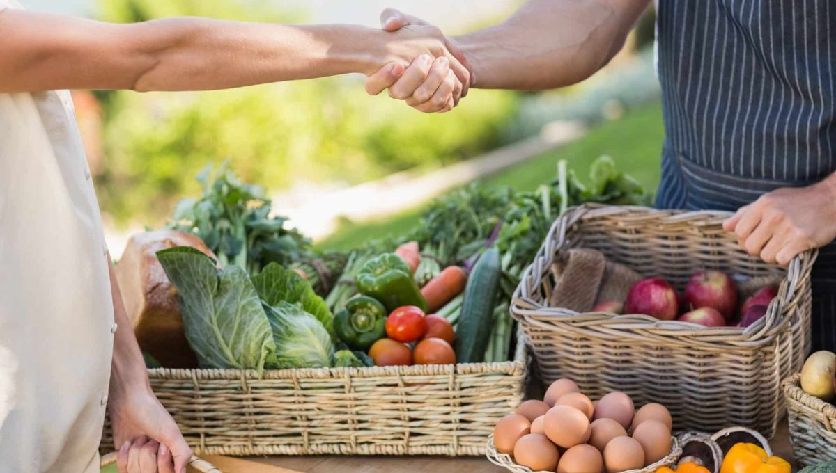 Deux hommes, dont on ne voit que les mains qui se serrent au-dessus d'un étal de légumes frais symbolisant une rencontre autour de la bio.