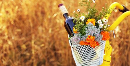 AdobeStock_95063028.jpeg
