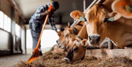 « C’est qui le Patron ? », 8 ans d'actions au profit des producteurs