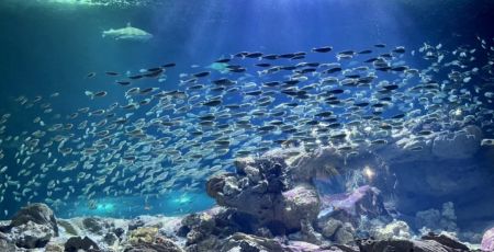 Aquarium_Paris.jpg