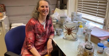 Christine Rollard araignées Muséum histoire