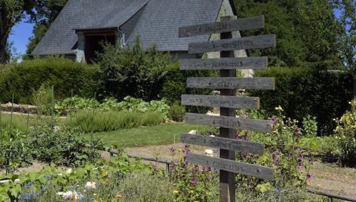 Beauty Garden : des cosmétiques qui poussent au jardin