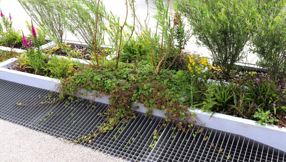 Bocage urbain Vertuo végétalisation des villes