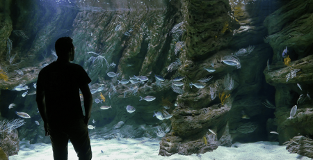 Biodiversarium de Banyuls