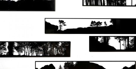 Blaise_Adilon_photo.jpg