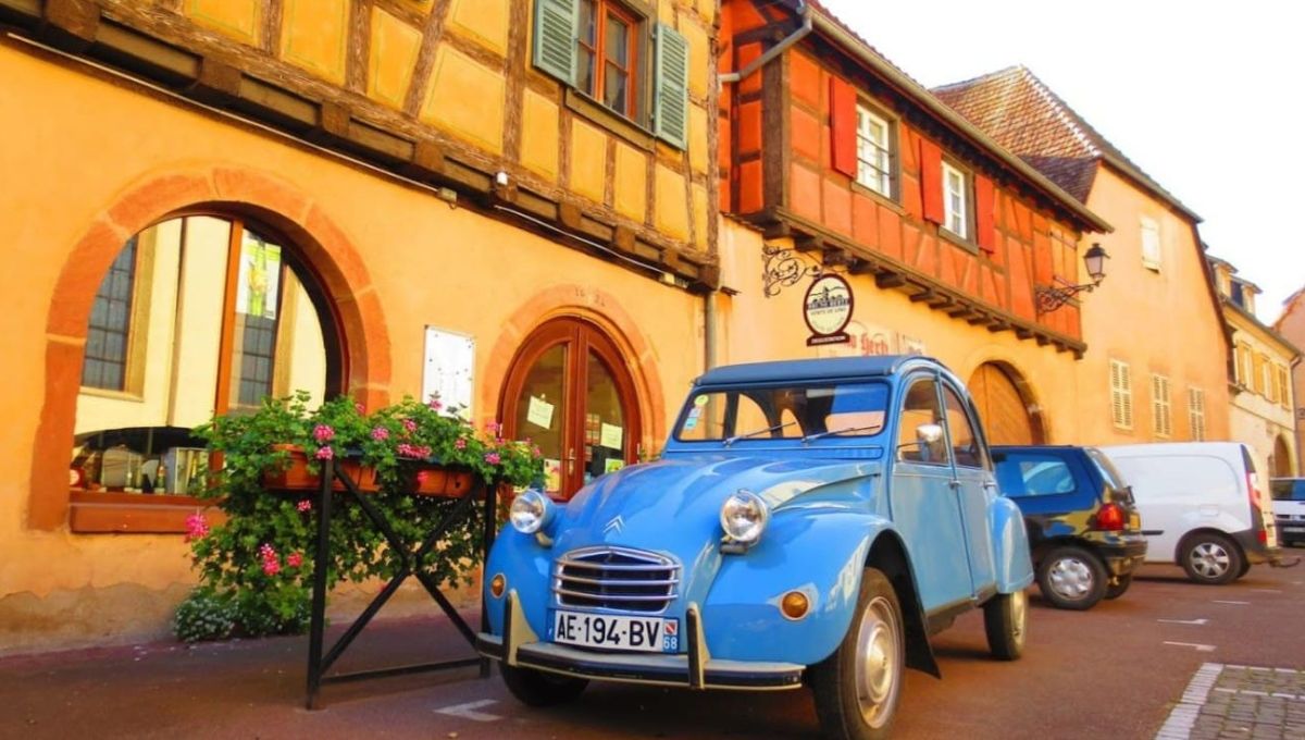 2 chevaux alsace Eguisheim