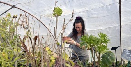 Le jardin de Cathy