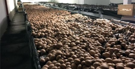 Lyon : Transformer des parkings en zones de production agricole bio