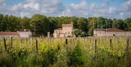 En premier plan, il a des vignes En second plan il a le Château La Tour Carnet