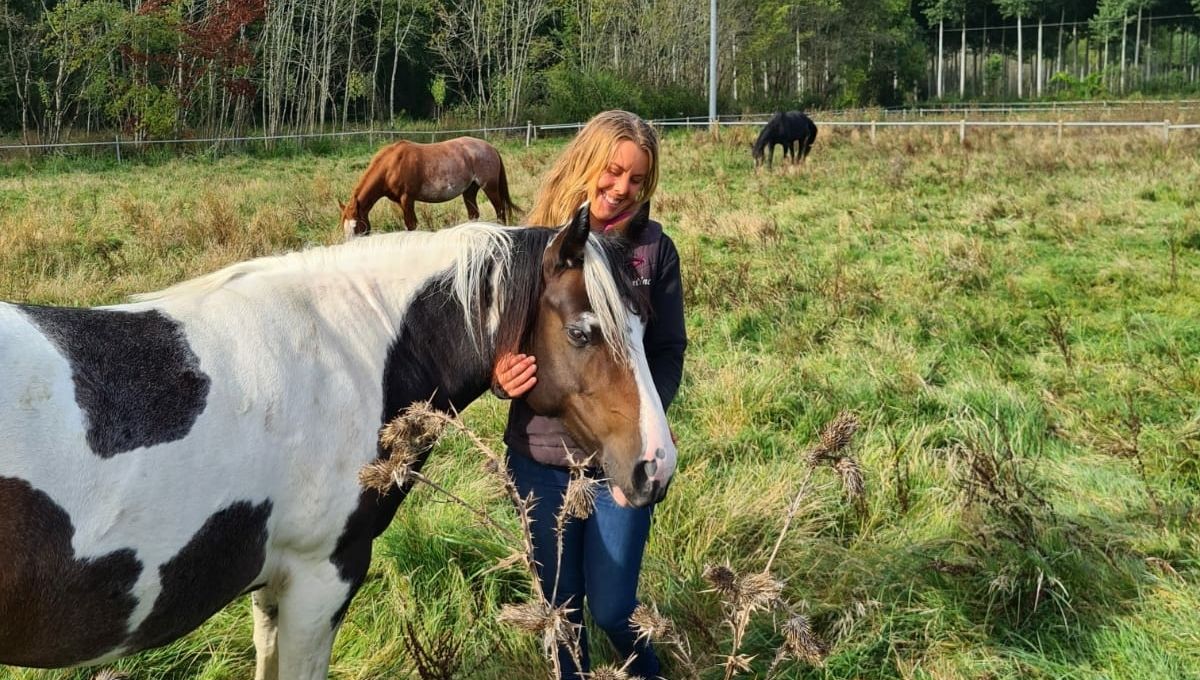Chevaux_photo.jpg