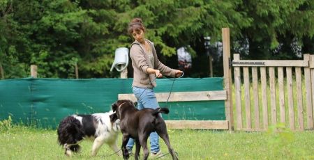 chiens éducatrice dressage jura Marine