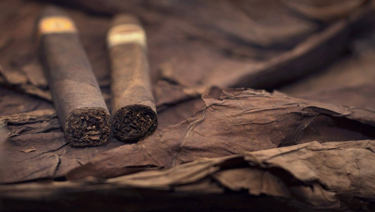 Cigare.jpeg