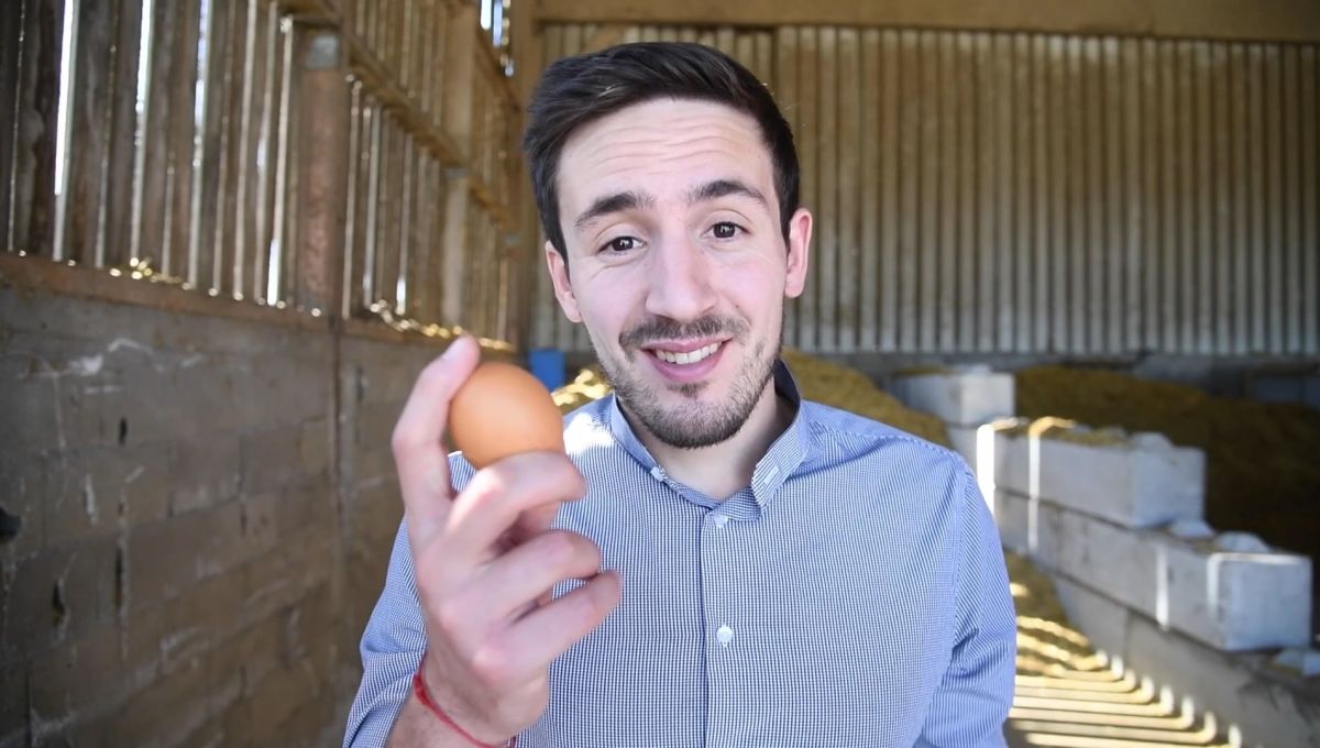 Circul'Egg