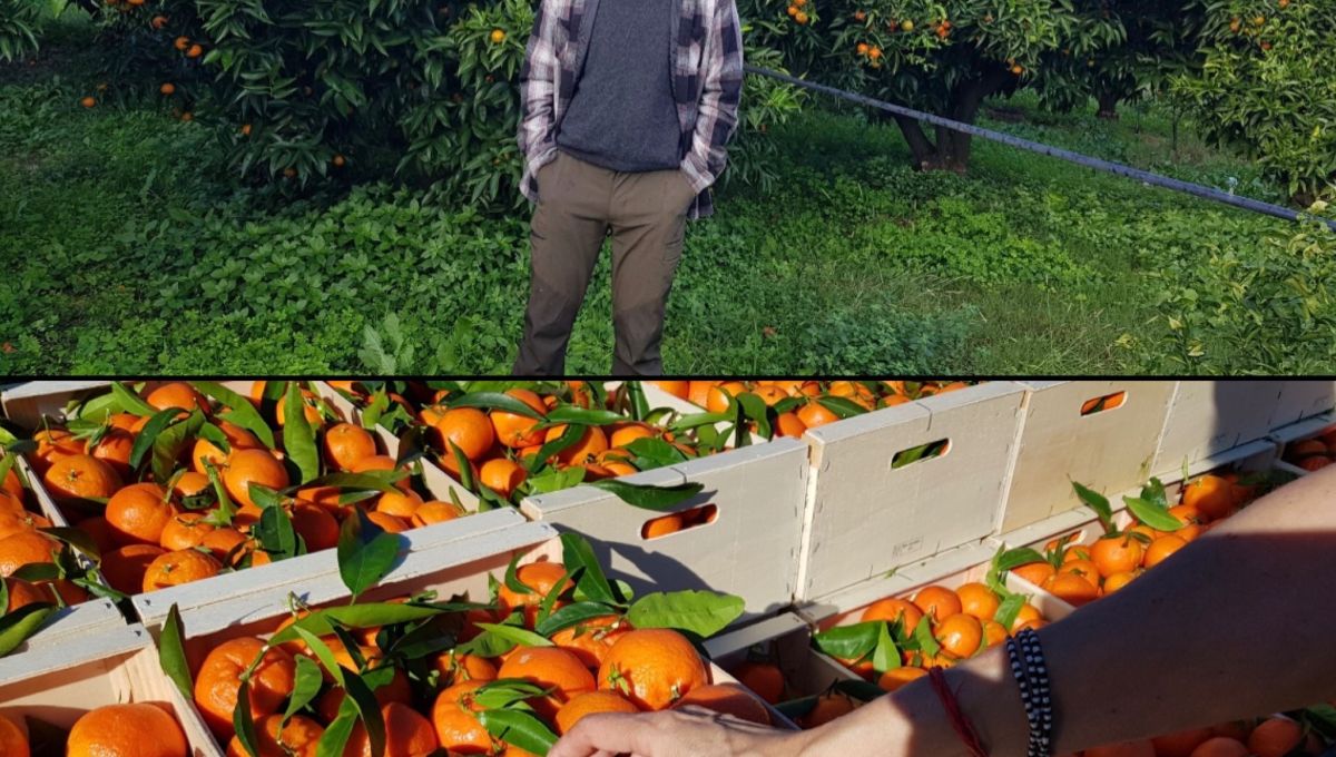 Clementine_Corse.JPG