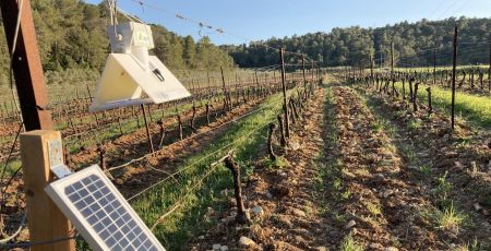 Vigne Viticulture Station météo