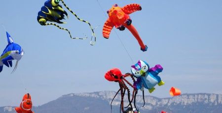 Découvrir la magie du cerf-volant avec Drôme Zen Air Vent
