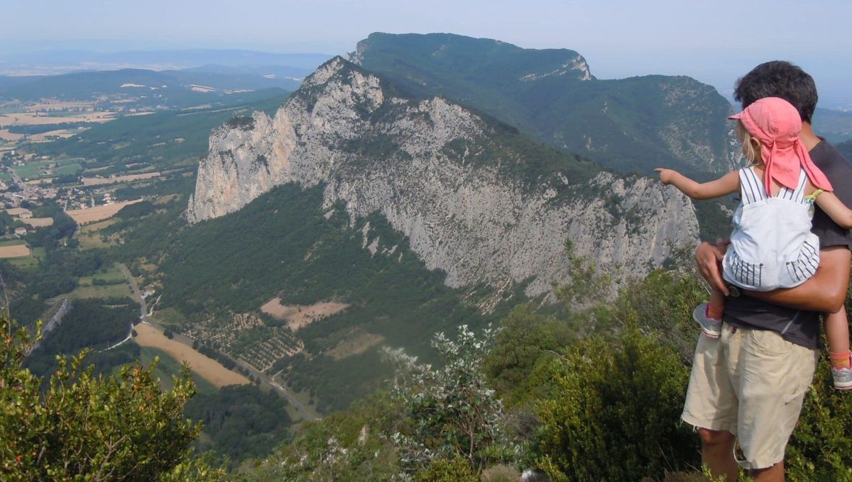 La chèvre qui Saoûrit