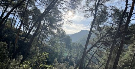 Dans le parc naturel régional de la Sainte Baume