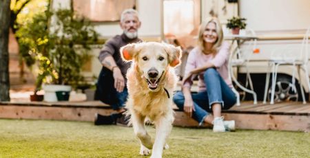 Dom Sitting veille sur vos animaux et votre maison