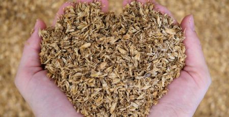 Maltivor : Manger de la bière grâce à la farine de drêche