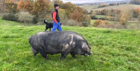 Sud-Ouest : la ferme familiale des frères Clément et Antoine Dupont 