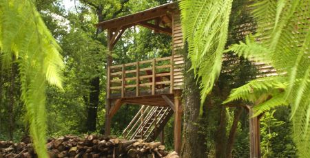 Ecolodge_de_Loire_cabane-anjou-saumur_-_copie.jpeg