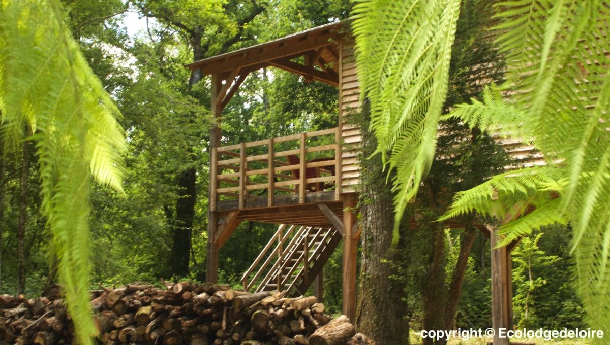 Ecolodge_de_Loire_cabane-anjou-saumur_-_copie.jpeg