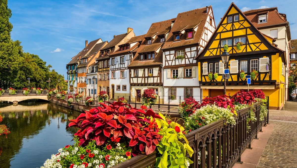 Ecotourisme_Alsace.jpeg