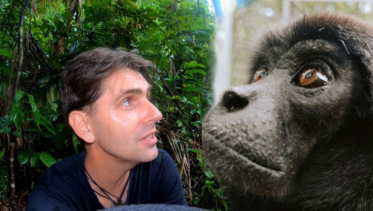 Chanee et un gibbon de Kloss