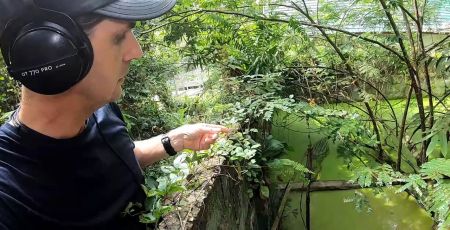 Chanee et les crocodiles mangeurs d'hommes