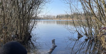 Etang_du_Corra.jpg