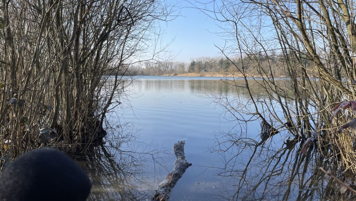 Etang_du_Corra.jpg
