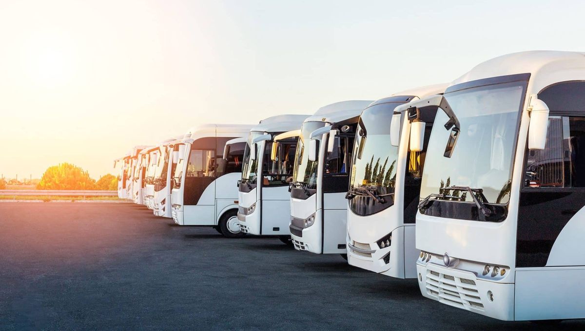 Léa Lasjaunias / Fullbus