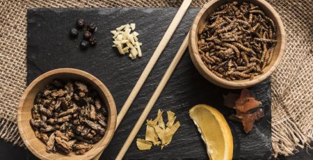 insectes comestibles