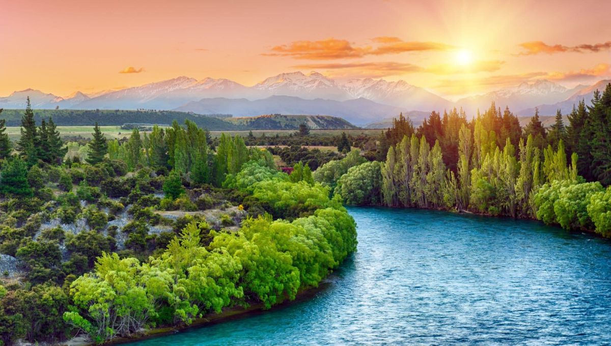 Traverser l’Europe à la rame par amour du sport et de la nature