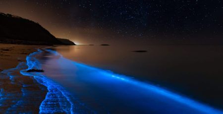 GLOWEE_PHOTO.jpeg