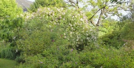 Dans la Creuse, le jardin des Gargalhous a tout d’un grand