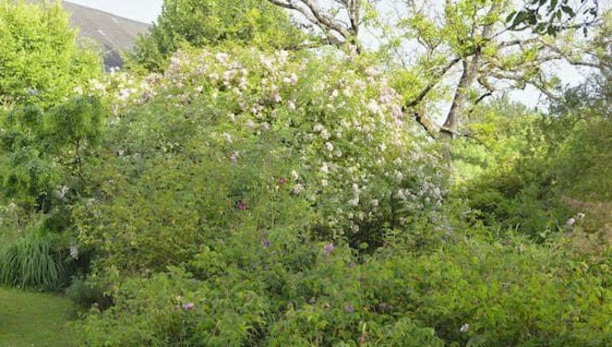 Dans la Creuse, le jardin des Gargalhous a tout d’un grand