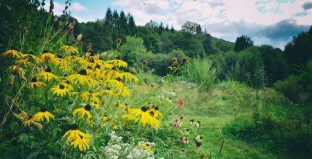 Jardin des Gueux