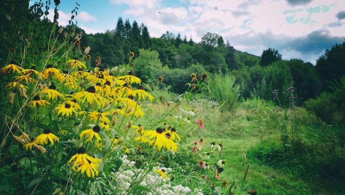 Jardin des Gueux