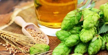 Houblon