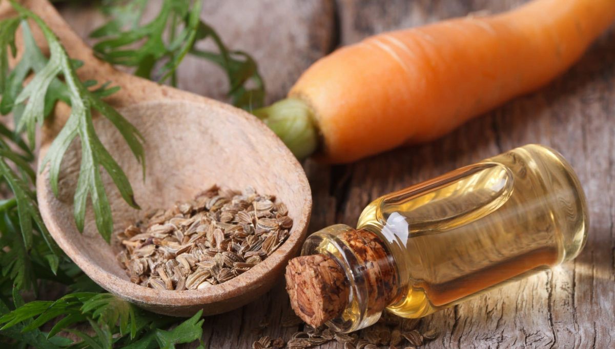 oil of carrot seeds in a glass bottle closeup top view