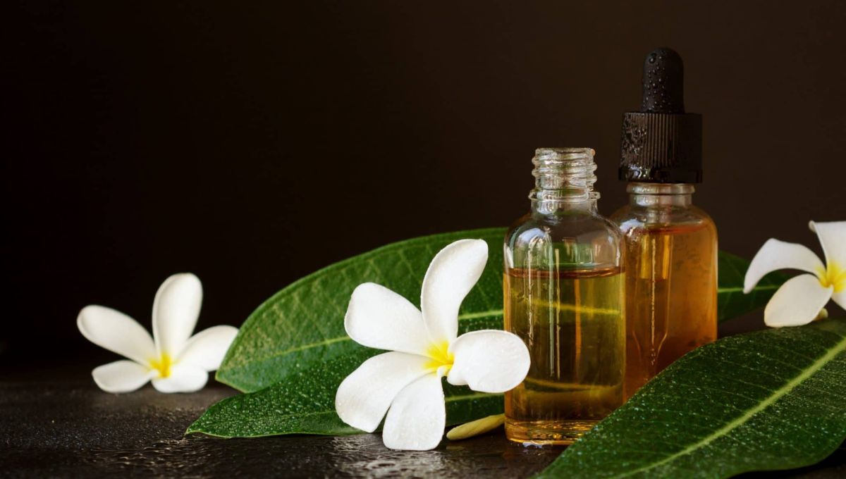 HUILE_ESSENTIELLES_-_27_12_PATCHOULI_A.jpeg