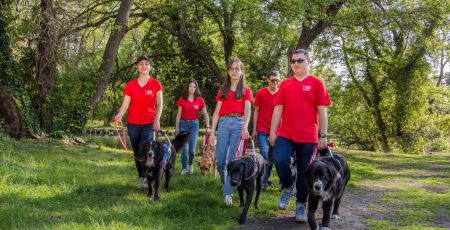 La fondation Frédéric Gaillanne offre des chiens-guides aux enfants